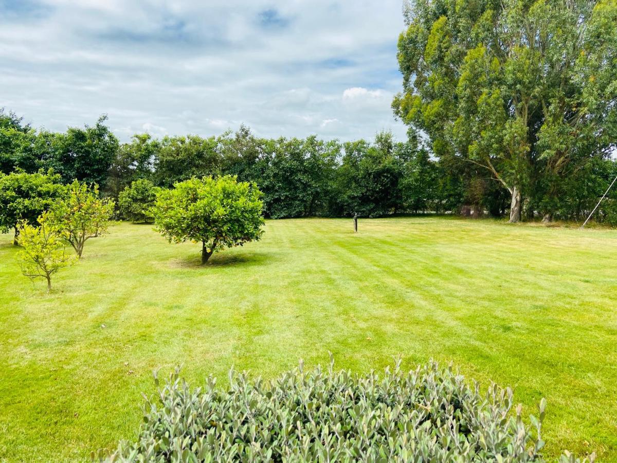 Chateau Le Cross Apartment Martinborough Luaran gambar